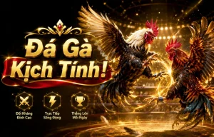 Giao diện sảnh Đá Gà DAGA
